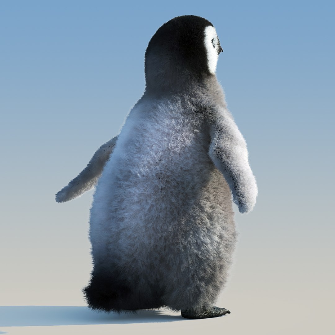 emperor penguin chick fur 3d model https://p.turbosquid.com/ts-thumb/GT/TWqnGn/j0dR5LAb/chick_fur_04/jpg/1476350478/1920x1080/fit_q87/c215567fd4530fe1e9b4a79ec98d4671017f5603/chick_fur_04.jpg