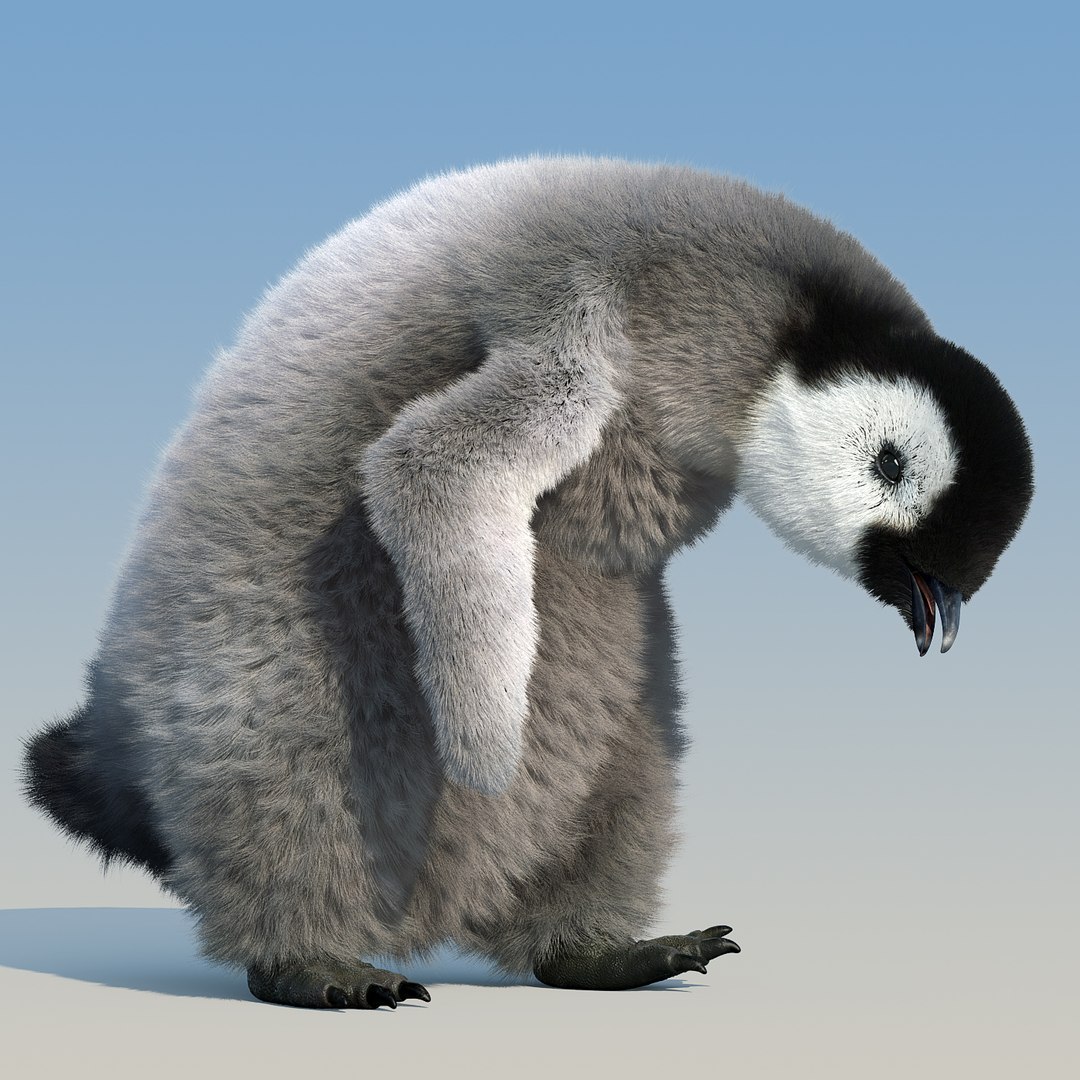 emperor penguin chick fur 3d model https://p.turbosquid.com/ts-thumb/GT/TWqnGn/nC6GJYsJ/chick_fur_rigged_09/jpg/1476350417/1920x1080/fit_q87/70a3207e84dcb8557a40544ac813b8fec93f7182/chick_fur_rigged_09.jpg