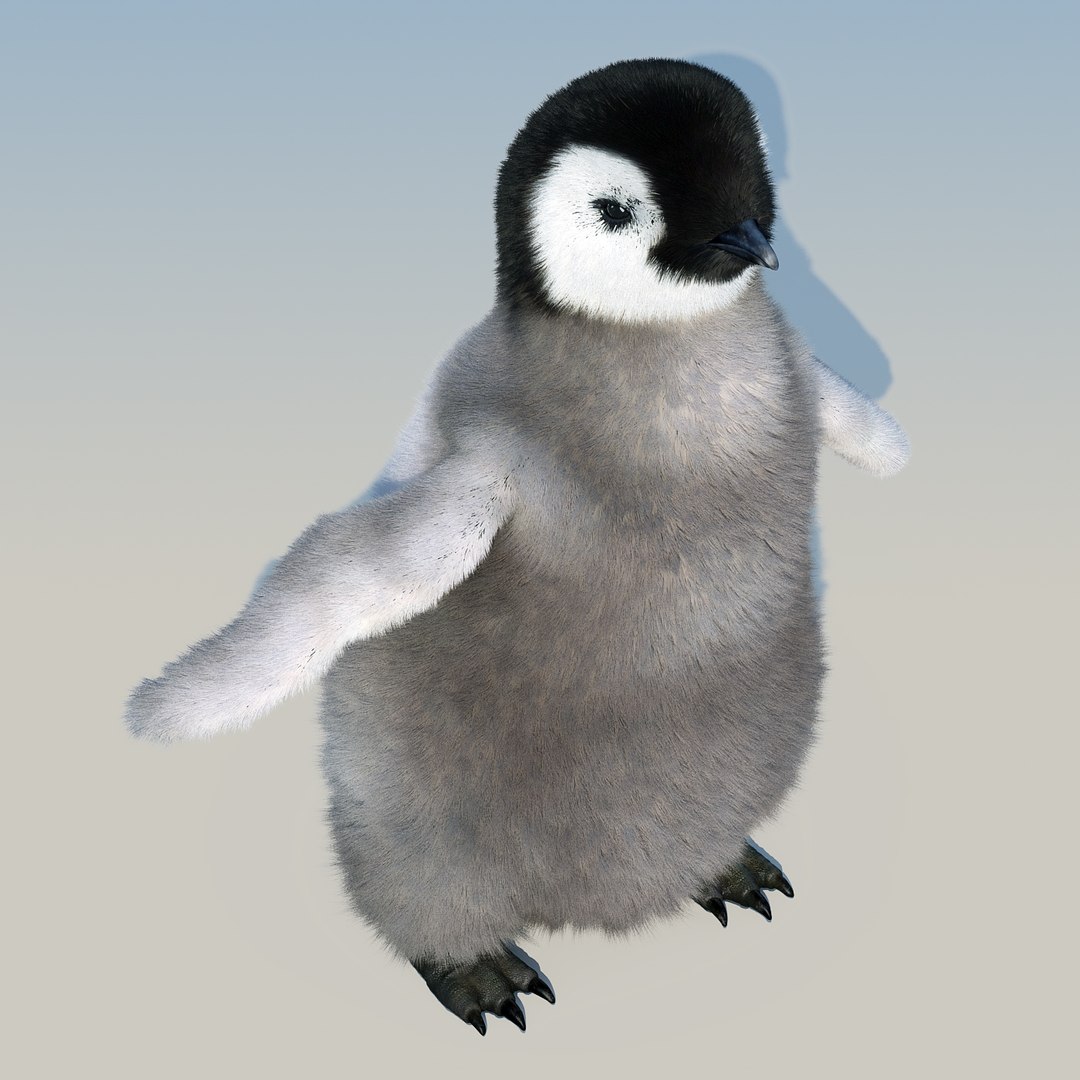 emperor penguin chick fur 3d model https://p.turbosquid.com/ts-thumb/GT/TWqnGn/pxMA6lxS/chick_fur_07/jpg/1476350478/1920x1080/fit_q87/539d84ad41b98056910e19f04604ce1a8b7655bc/chick_fur_07.jpg