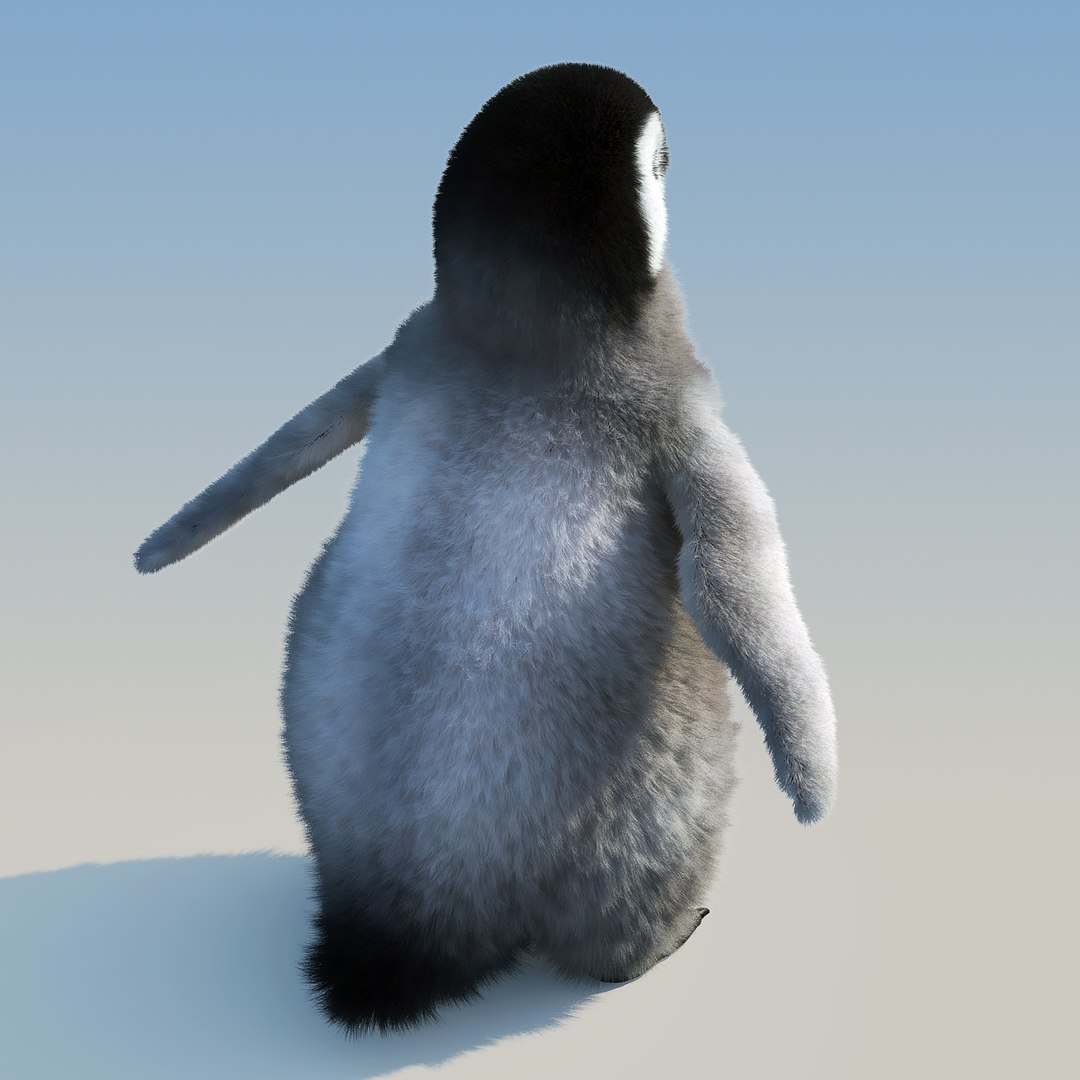 emperor penguin chick fur 3d model https://p.turbosquid.com/ts-thumb/GT/TWqnGn/wdwLiIys/chick_fur_08/jpg/1476350478/1920x1080/fit_q87/27668157b22f94539208e3f6c1e0a13b24491fdb/chick_fur_08.jpg