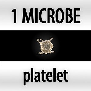max microbes micro organisms