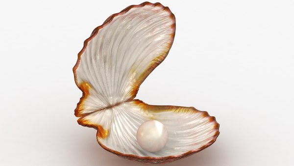 Clam Shell com Pearl Animated Modelo 3D - TurboSquid 1545779