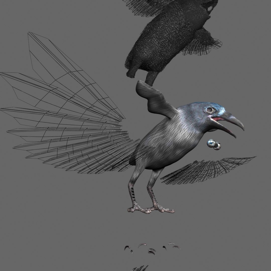 Raven modeled 3D model - TurboSquid 1438613