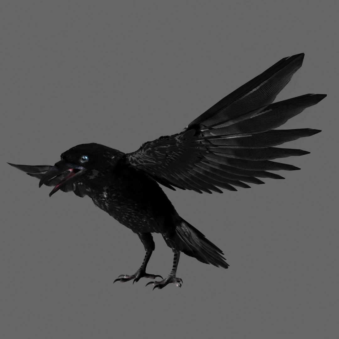 Raven Modeled 3D Model - TurboSquid 1438613