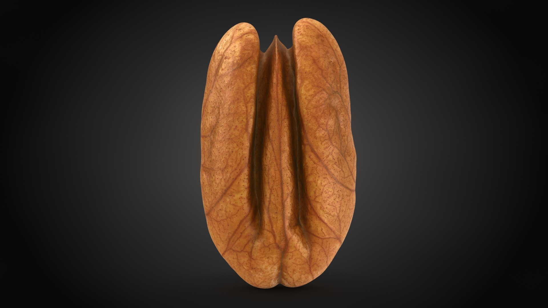 Nuts Collection 2 3D model https://p.turbosquid.com/ts-thumb/GT/ug5a47/I1/pecan_01_a0001/jpg/1661525548/1920x1080/fit_q87/c26579354753e003908c1e17ddf32bac5da892ea/pecan_01_a0001.jpg