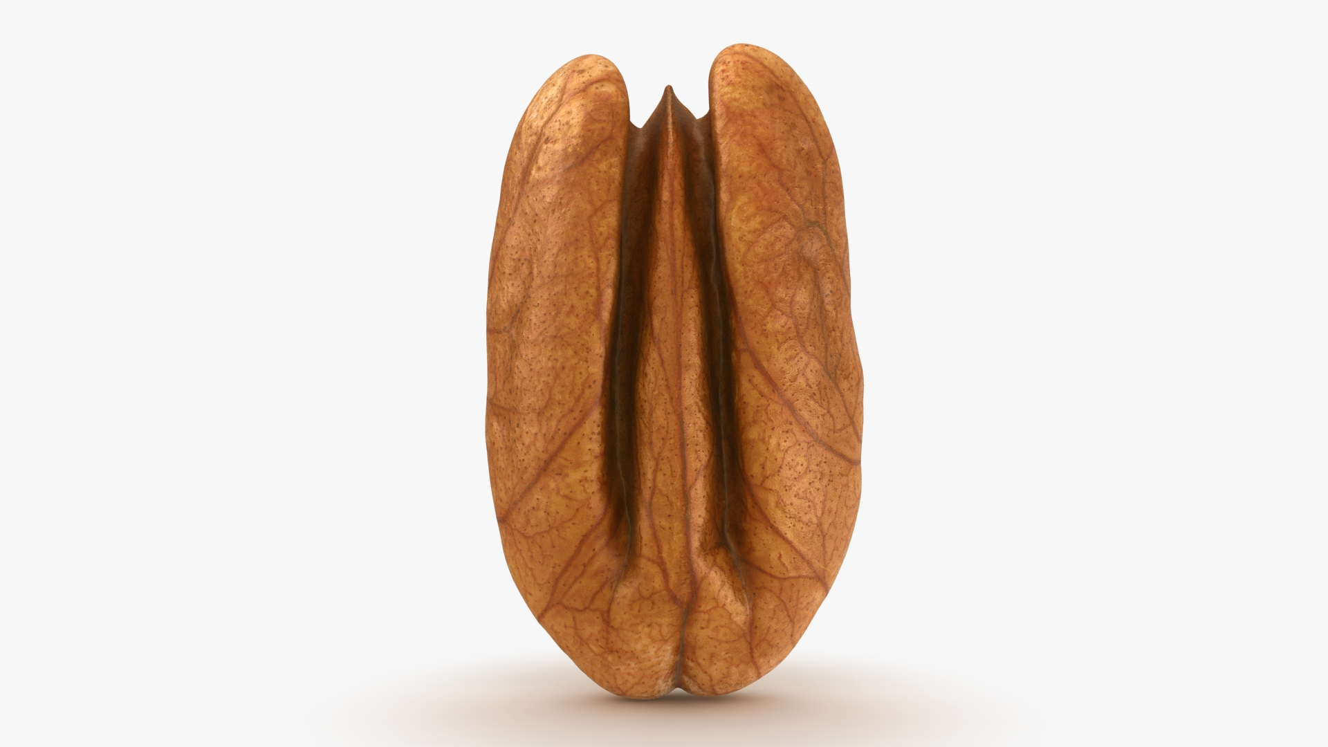 Nuts Collection 2 3D model https://p.turbosquid.com/ts-thumb/GT/ug5a47/Oy/pecan_01/jpg/1661525573/1920x1080/turn_fit_q99/e861f3d1d4fc964c1b623c501e74d40a51aa20d1/pecan_01-1.jpg