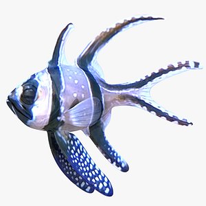 Banggai Cardinalfish 3D model