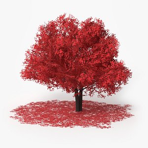 3D Lowpoly Realistic Decorative Red Maple with Fallen Leaves