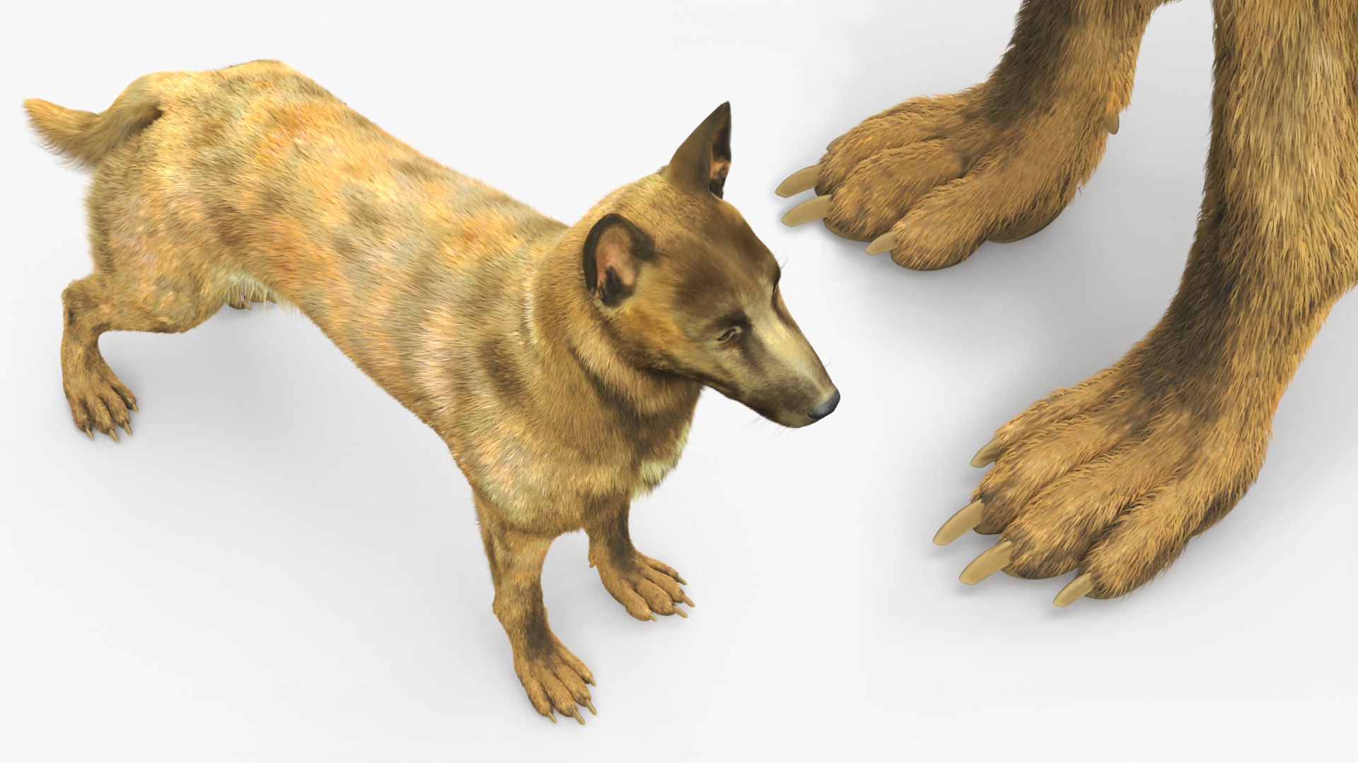 3D model Shepherd Dog Gold Brindle Fur Rigged for Maya https://p.turbosquid.com/ts-thumb/GU/2WwY94/0W/shepherd_dog_gold_brindle_fur_rigged_008/jpg/1760507012/1920x1080/fit_q87/aa297eb6a453d0eebc51e1758157f39ba07c0f85/shepherd_dog_gold_brindle_fur_rigged_008.jpg