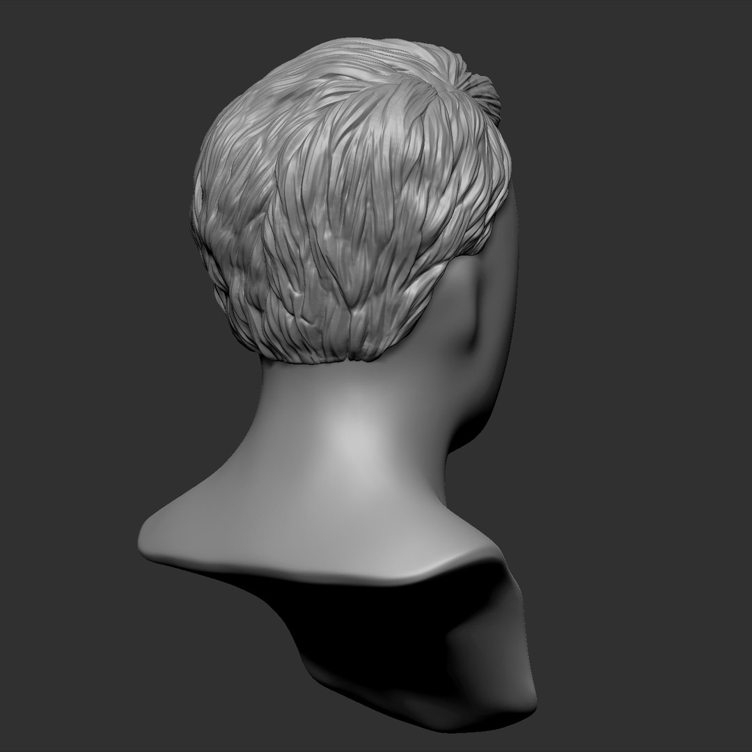 beauty man hairstyle 4 3d obj https://p.turbosquid.com/ts-thumb/GU/4PFBsw/geTX09RY/7.bmpe49510c94ded4ad7a51e565f941242f7zoom/jpg/1478437042/1920x1080/fit_q87/e4ac2bd0a377629f7cb59a9026d238effdd1da4f/7.bmpe49510c94ded4ad7a51e565f941242f7zoom.jpg
