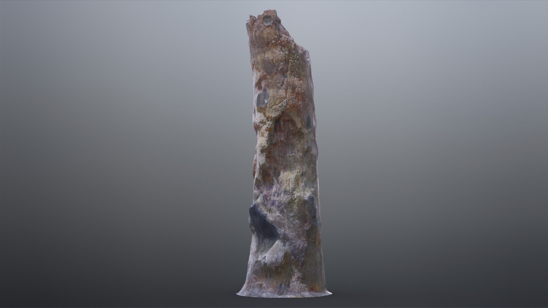 3D Tree Stump model https://p.turbosquid.com/ts-thumb/GU/D6x9k0/eY/treestump_001_009/jpg/1673500486/1920x1080/fit_q87/1e5df5fbf85a971e5c75d6417bff935e335fbb40/treestump_001_009.jpg