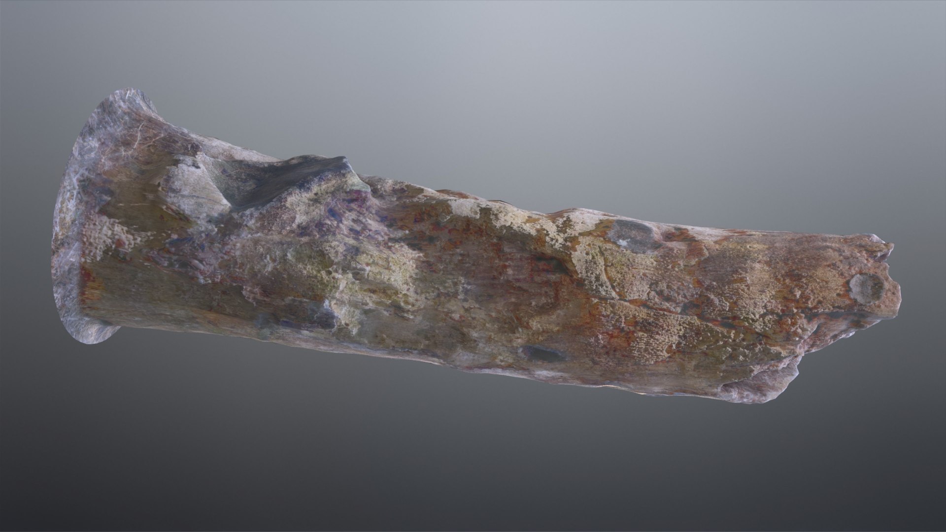 3D Tree Stump model https://p.turbosquid.com/ts-thumb/GU/D6x9k0/la/treestump_001_017/jpg/1673500491/1920x1080/fit_q87/4bf03ad93aae2afa123ae4b1a9a7cdd297437953/treestump_001_017.jpg