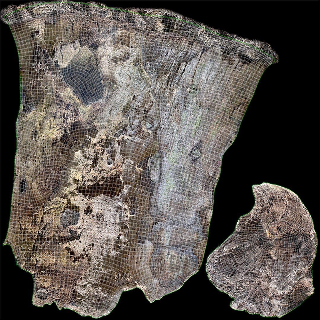 3D Tree Stump model https://p.turbosquid.com/ts-thumb/GU/D6x9k0/oV/uv_layout_001/png/1673500497/1920x1080/fit_q87/e6411e2330a591c5a3573ddaa5898f7eeadfa30d/uv_layout_001.jpg