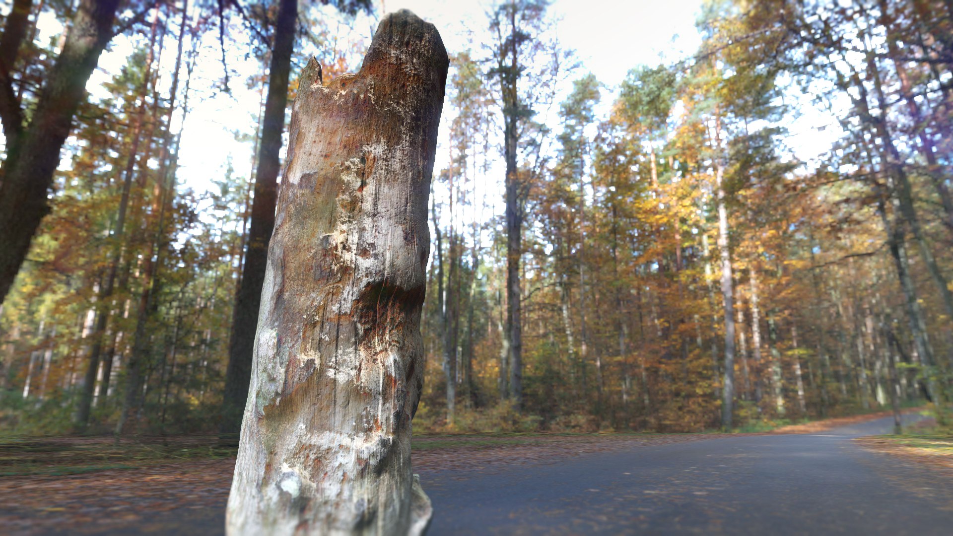 3D Tree Stump model https://p.turbosquid.com/ts-thumb/GU/D6x9k0/z1/treestump_001_007/jpg/1673500484/1920x1080/fit_q87/9ce8b8ac8ae5997c403685e2a719cd39283ce334/treestump_001_007.jpg