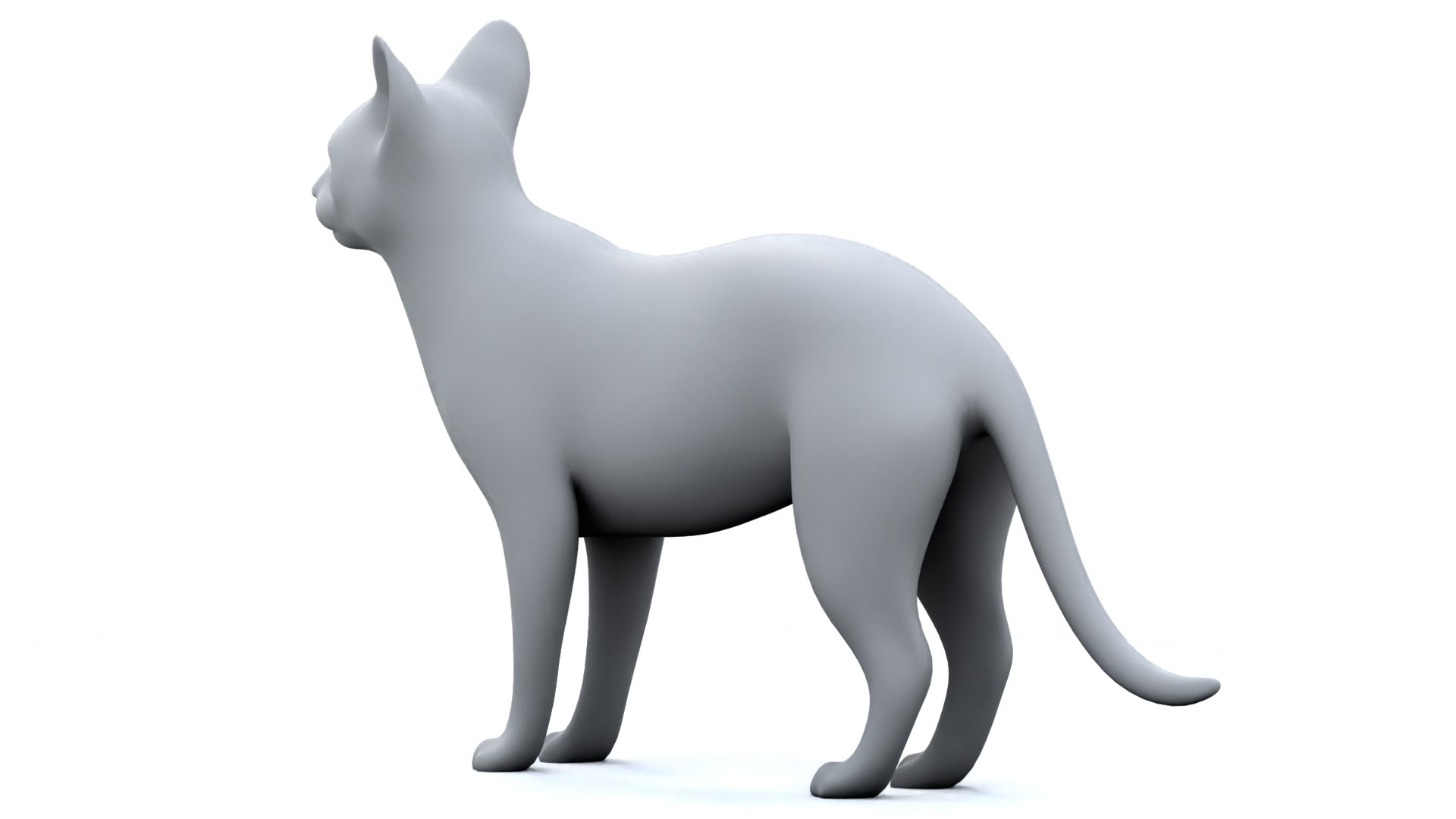 3D Cat https://p.turbosquid.com/ts-thumb/GU/KTSeQk/BJ/9/jpg/1711104381/1920x1080/fit_q87/42cfe42b74e6e13d134919e9bf9cefd3673c75f4/9.jpg