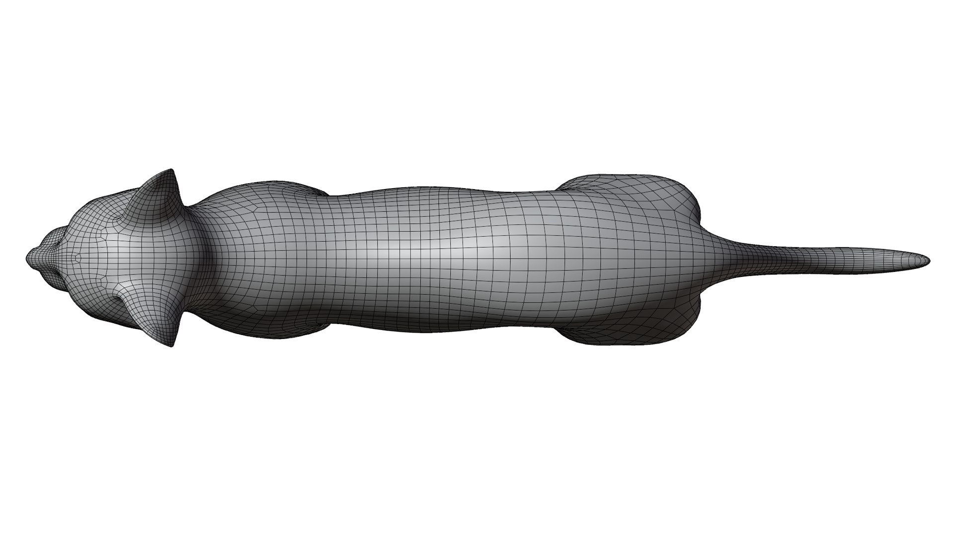 3D Cat https://p.turbosquid.com/ts-thumb/GU/KTSeQk/IL/wireframe3/jpg/1711104385/1920x1080/fit_q87/af171d482b1686097c10c6181cfd791016b9c186/wireframe3.jpg