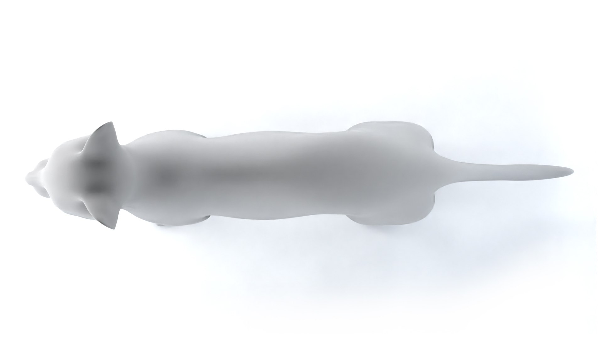 3D Cat https://p.turbosquid.com/ts-thumb/GU/KTSeQk/gi/4/jpg/1711104380/1920x1080/fit_q87/023379f9c7d830eda0ee60fb41a20fa474bef8af/4.jpg