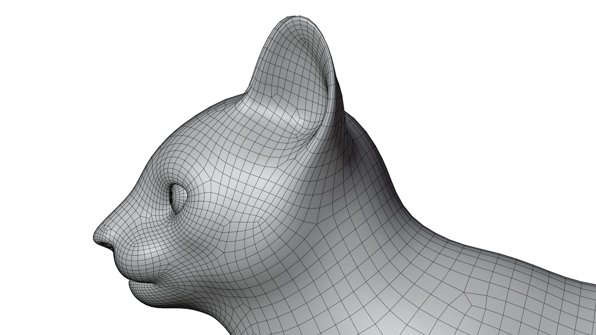 3D Cat https://p.turbosquid.com/ts-thumb/GU/KTSeQk/pz/wireframe7/jpg/1711104387/1920x1080/fit_q87/93f342401c08cda99ceca6dffee8cb488e7c8de0/wireframe7.jpg