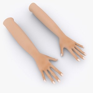 3D human hand model