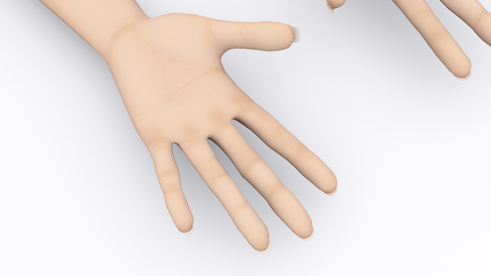 3D Human Hand Model - TurboSquid 1621346