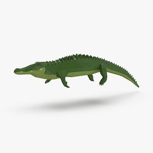 Alligator Swimming