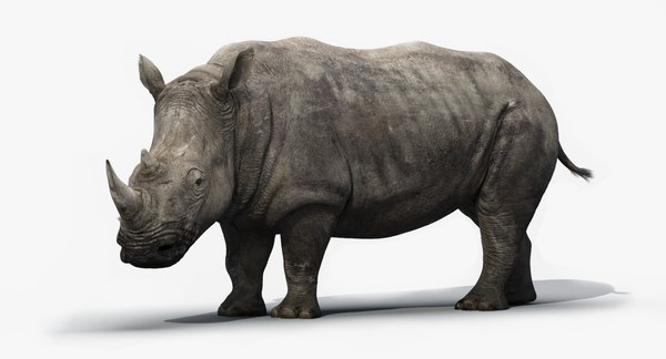 3d model rhino rigged