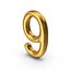 Number 9 Gold