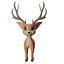 Cute Cartoon Deer Rigged