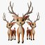 Cute Cartoon Deer Rigged
