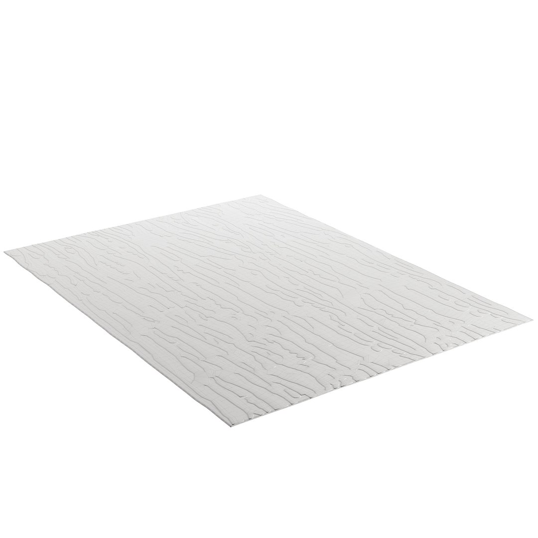 3D model Arora Rug https://p.turbosquid.com/ts-thumb/GU/jeiSsq/u1/04/jpg/1781155971/1920x1080/fit_q87/a5df6c510ffeec88f44d90fb3e880c9d1301046d/04.jpg