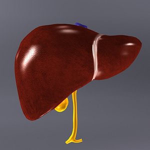 liver max