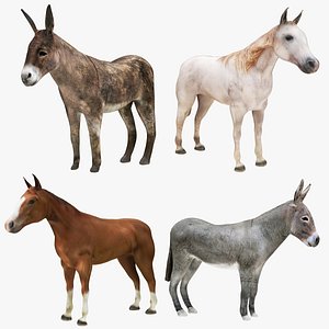 3D Horse and Donkey Collection