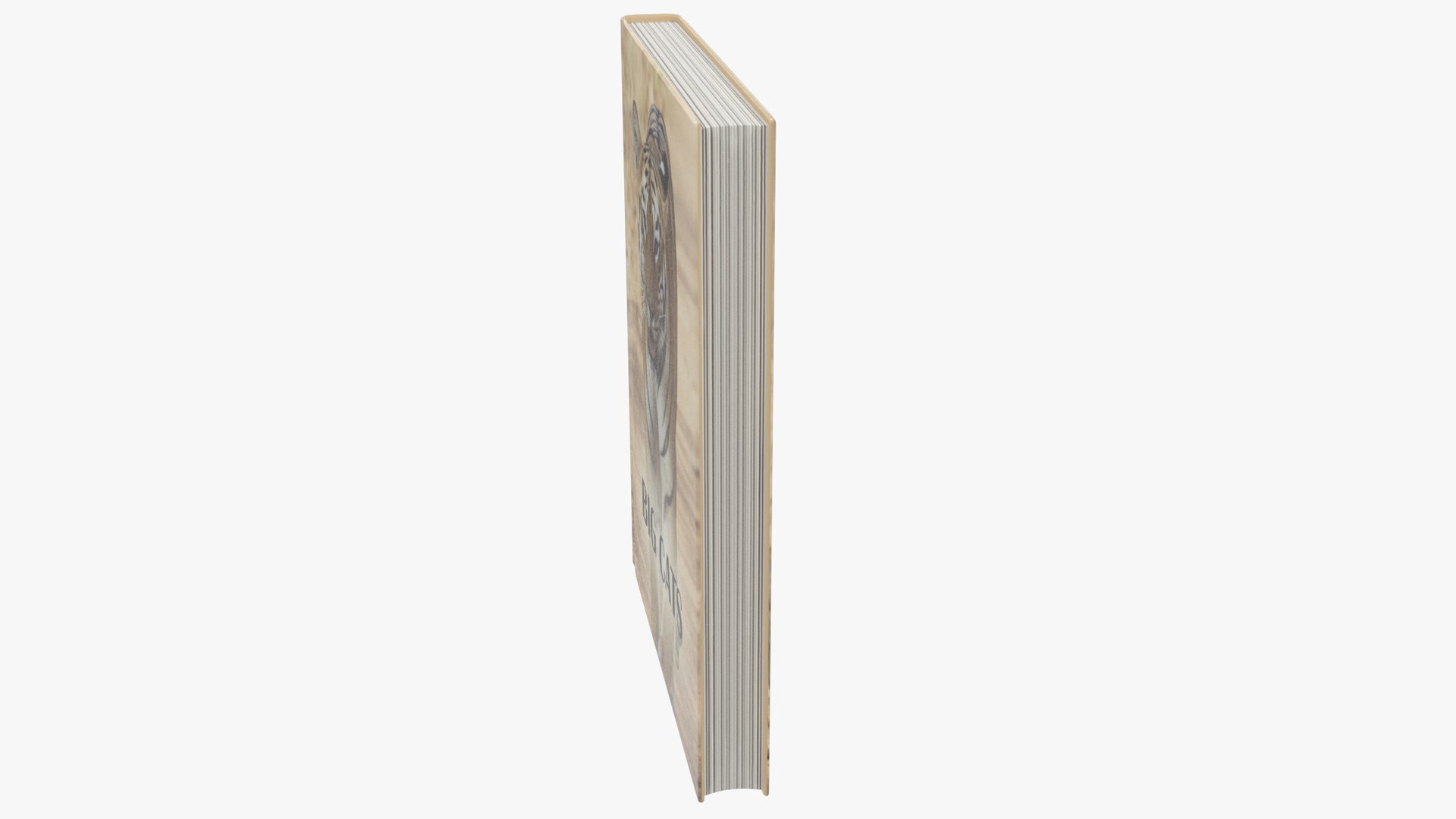 3D model shelf books cactus https://p.turbosquid.com/ts-thumb/GU/x7bCNA/kWKRlPkP/004_006copy/png/1572362854/1920x1080/fit_q87/f3302baccf72f78c393c12d87464a4d45230c75a/004_006copy.jpg