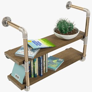 3D model shelf books cactus