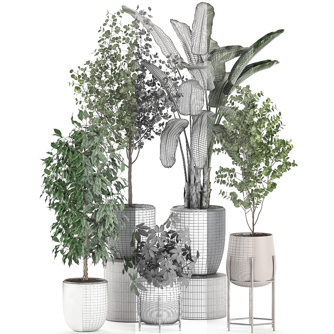 3D decorative plants interior pots https://p.turbosquid.com/ts-thumb/GV/8yH7VO/1qY0iU5A/plantset2505202007/jpg/1590498744/1920x1080/fit_q87/0eb6c1ecfe5d068744b62aa5a5addc0d1a41a4fe/plantset2505202007.jpg