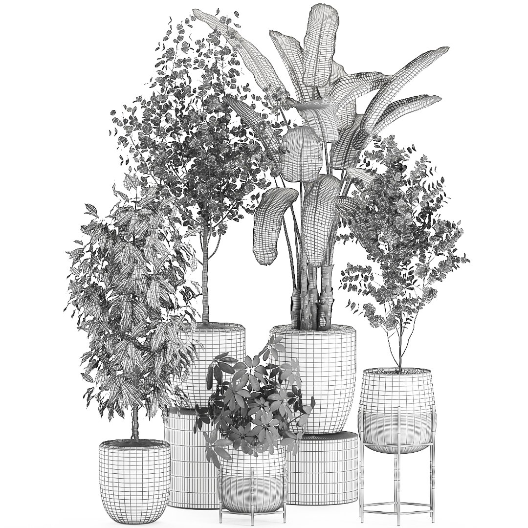 3D decorative plants interior pots https://p.turbosquid.com/ts-thumb/GV/8yH7VO/3rvyldM6/plantset2505202009/jpg/1590498744/1920x1080/fit_q87/ea254495e2b839c0724dc5f818bca7457ec74b5b/plantset2505202009.jpg