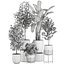 Plantas decorativas para decoración de interiores en macetas 557