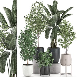 3D decorative plants interior pots