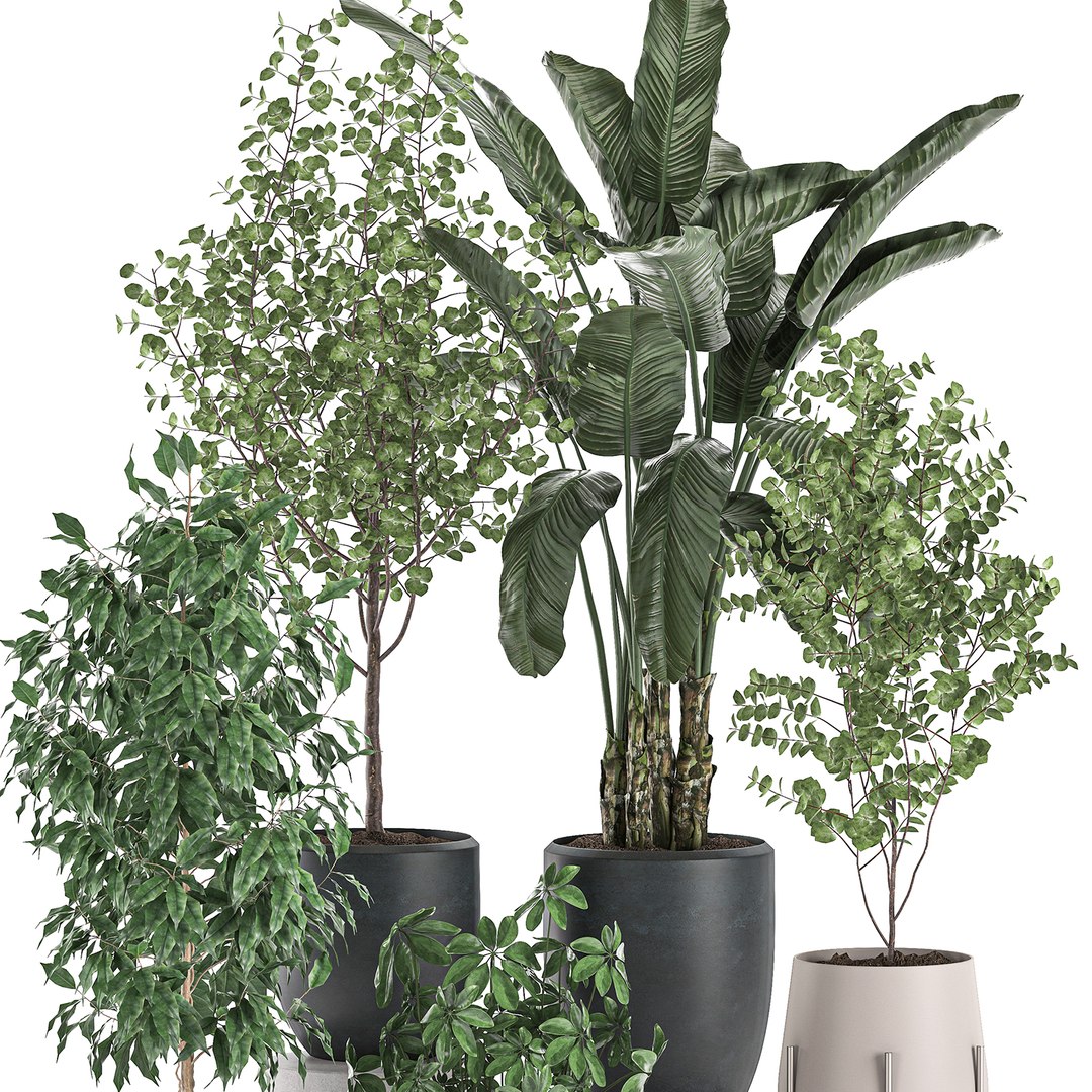 3D decorative plants interior pots https://p.turbosquid.com/ts-thumb/GV/8yH7VO/EwU3JQst/plantset2505202003/jpg/1590498744/1920x1080/fit_q87/4e598e13ff9de0bec2d8175d7f4d7ddbfc533f11/plantset2505202003.jpg