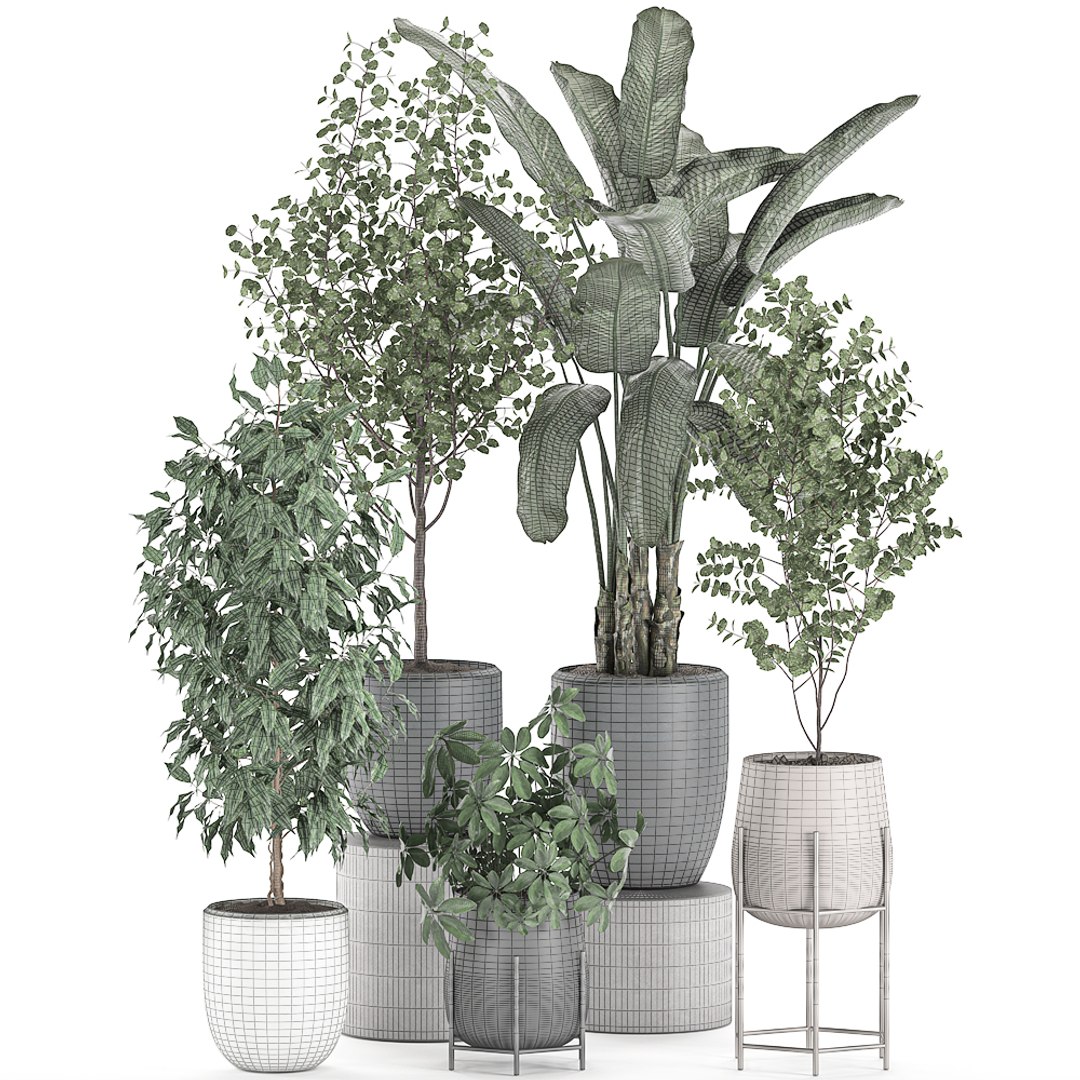 3D decorative plants interior pots https://p.turbosquid.com/ts-thumb/GV/8yH7VO/TjNjjeKQ/plantset2505202008/jpg/1590498744/1920x1080/fit_q87/63268bb276ef7ce30d06c830ce55576572f3e0d7/plantset2505202008.jpg