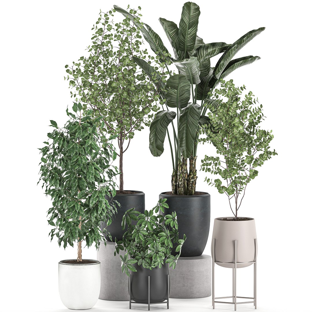 3D decorative plants interior pots https://p.turbosquid.com/ts-thumb/GV/8yH7VO/VPZPxqM4/plantset2505202001/jpg/1590498744/1920x1080/fit_q87/a62823b3181af67e4019ab9323c62d9097cae55c/plantset2505202001.jpg