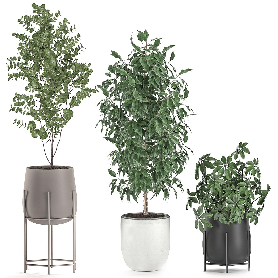 3D decorative plants interior pots https://p.turbosquid.com/ts-thumb/GV/8yH7VO/YNqLuQcg/plantset2505202005/jpg/1590498744/1920x1080/fit_q87/0ef4cedf0e855d0c87aac23ebdcb4a54df6a59aa/plantset2505202005.jpg