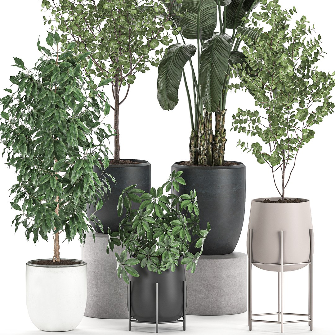 3D decorative plants interior pots https://p.turbosquid.com/ts-thumb/GV/8yH7VO/csHBGS5I/plantset2505202002/jpg/1590498744/1920x1080/fit_q87/4a70556f81fdcd6d7fbe596ff5604efe19fffc2d/plantset2505202002.jpg