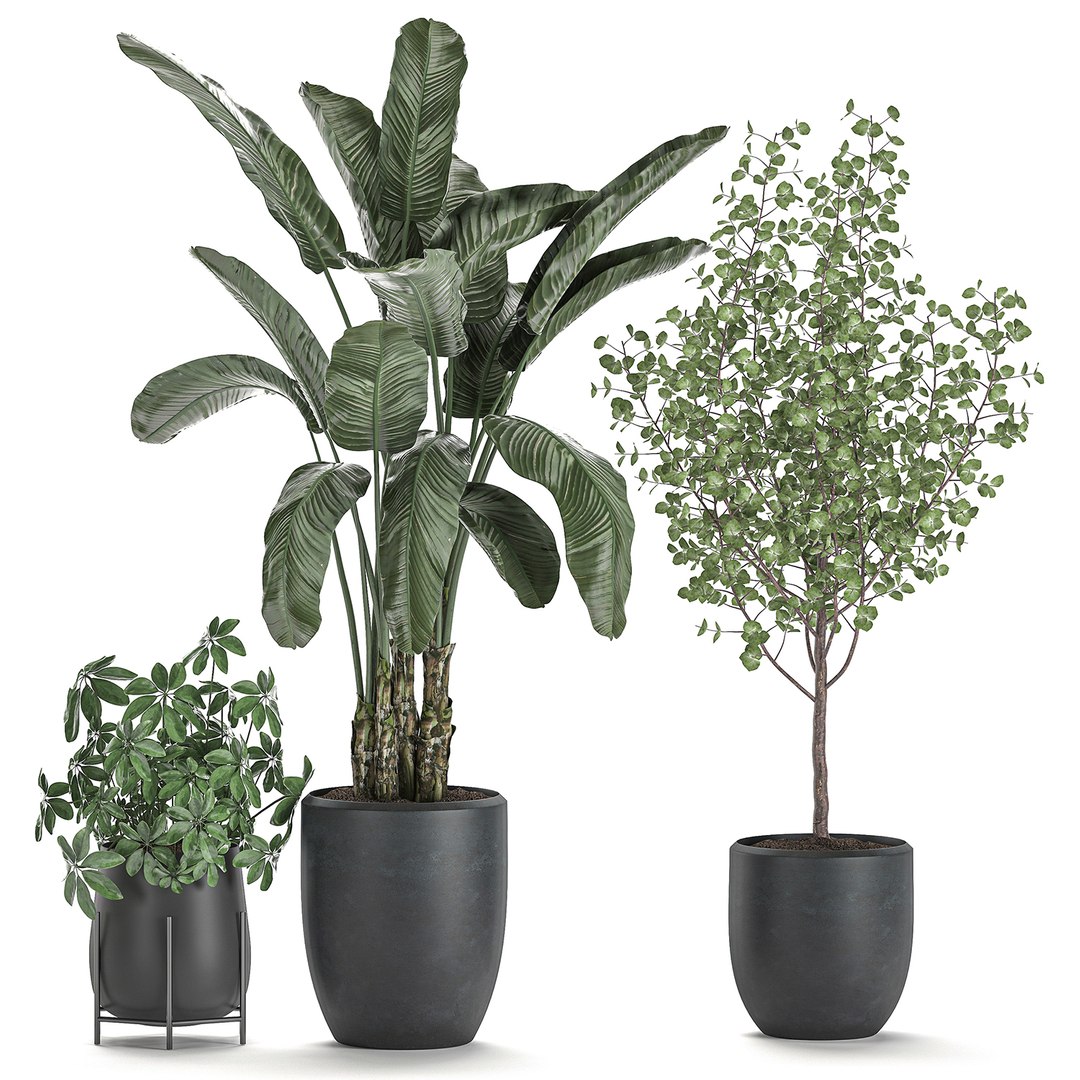 3D decorative plants interior pots https://p.turbosquid.com/ts-thumb/GV/8yH7VO/egfcw1mQ/plantset2505202006/jpg/1590498744/1920x1080/fit_q87/17f6c1e6a840ccd30c865380d82863d974dd7353/plantset2505202006.jpg