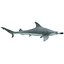 Shark Hammerhead