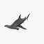 Shark Hammerhead