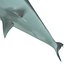 Shark Hammerhead