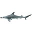 Shark Hammerhead