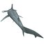 Shark Hammerhead