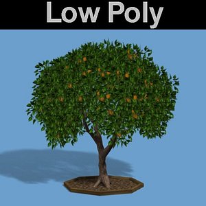orange tree pl 3d model